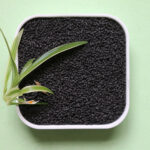 Carbon Molecular Sieve for PSA Nitrogen Generators | CMS Manufacturer Alternative Materials Analysis